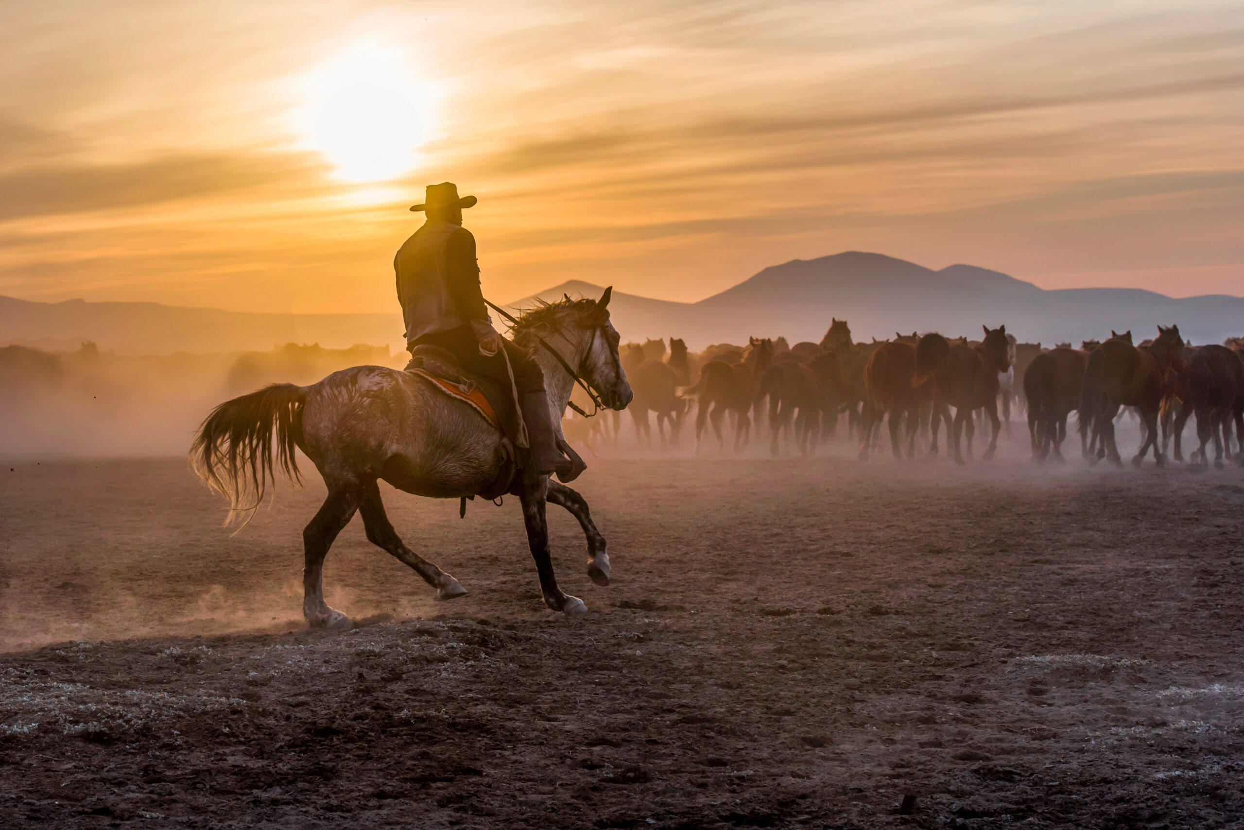 Image of a cowboy on a horse, looking rugged, herding horses against a backdrop of mountains at sunset