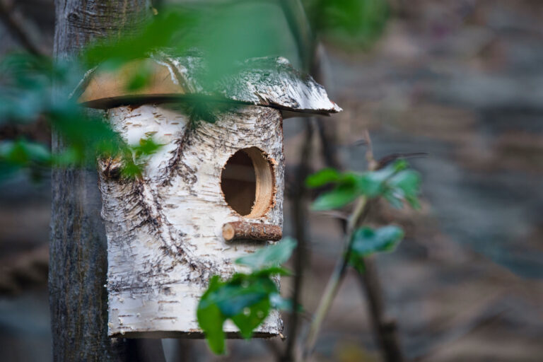 Photograph of a wooden birdhouse meant to evoke a hollow in a tree.