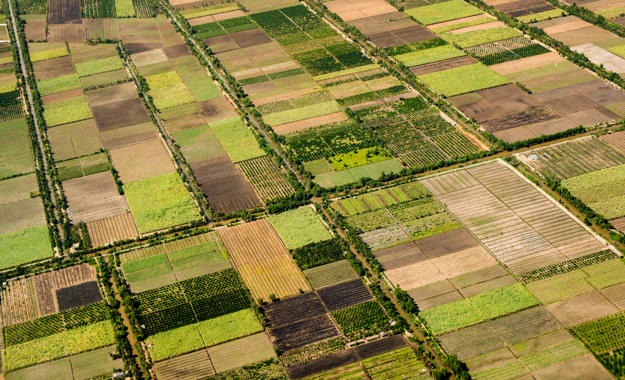 Photograph of an aerial view of a field of green, yellow, and brown farmland.
