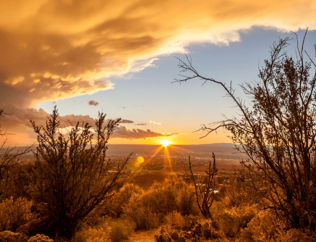 Photograph of the sunrise over Albuquerque, NM.