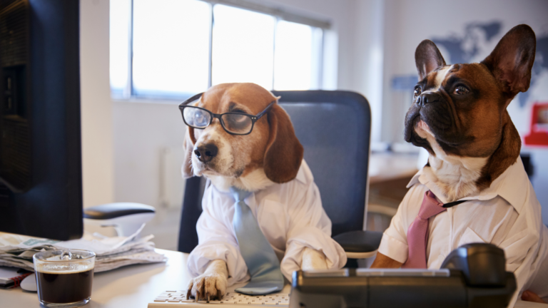 Image of two dogs wearing glasses, shirts, and ties, sitting at a computer.