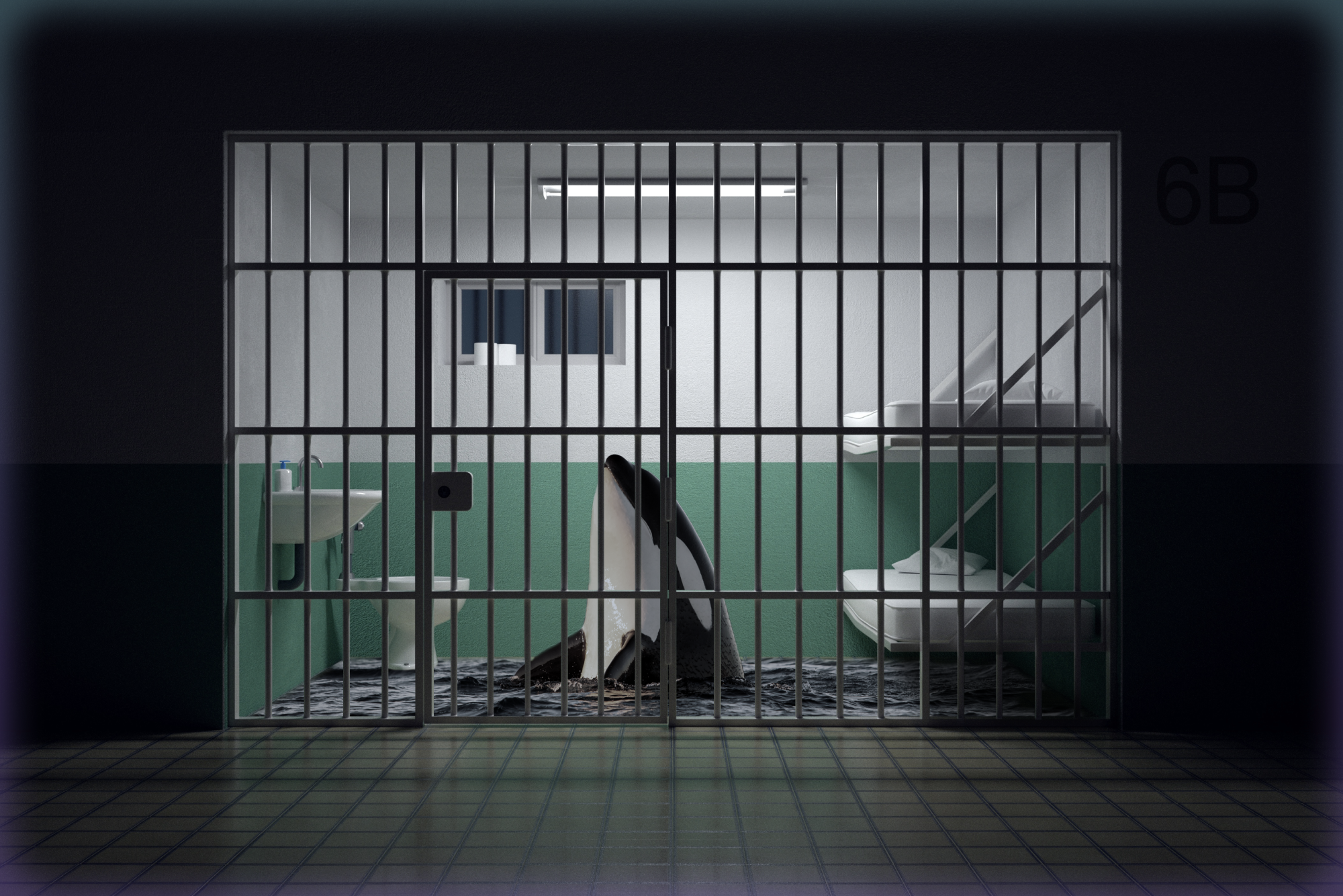 Image of an orca in a traditional prison cell with bunk beds, a toilet, and a sink.