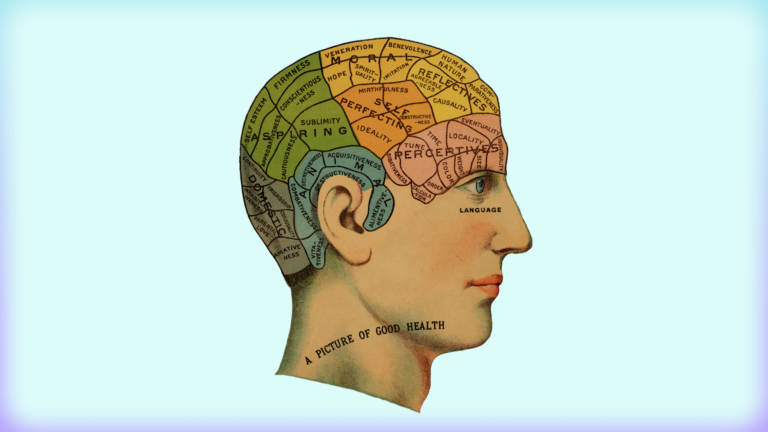 Image of an old-fashioned diagram of regions of the brain with a light blue background.