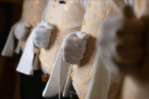 I Can Finally Afford a Butler…But I Might Get Fired