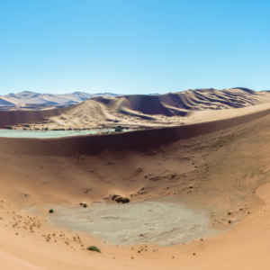 Image of a small oasis in a desert landscape.